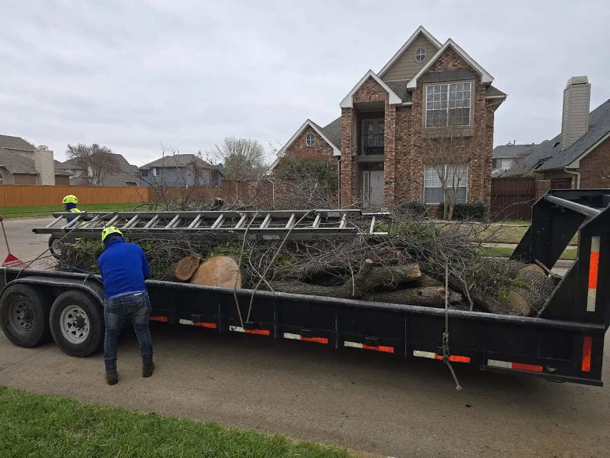 Expert Tree Removal with proper safety equipment in Spring Grove